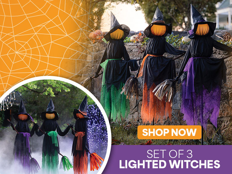 Set of 3 Lighted Witches, shop now. 
